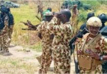Troops kill 17 terrorists in Borno operation