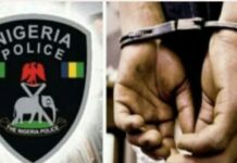Hisbah arrests nine in night raids across Kano
