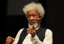 Soyinka decries Seyi Tinubu’s ‘excessive’ security escort