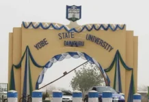 Researchers detect toxic heavy metals in water samples amids kidney disease crisis in Yobe