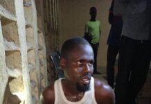 Troops arrest suspected suicide bomber, intercept IED materials in Borno