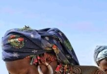 Bound by Heritage: Explore the communal unity and resilience of the Kanakuru tribe, by Tawheed Yakub