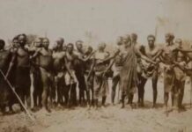 Berom Heritage: A culture of hard work, harvests, and heartfelt hospitality, by Tawheed Yakub