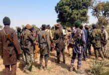 Security operatives raid criminal hideouts in Kogi, kill bandits, injure several others