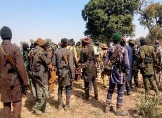 Security operatives raid criminal hideouts in Kogi, kill bandits, injure several others