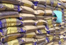 Customs seizes N1.2bn contraband rice, vehicles, in Kwara