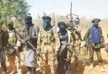 Terrorists kill 14 in Adamawa Terrorists kill 14 in Adamawa