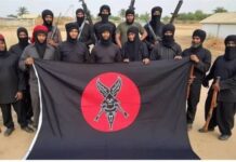 Lakurawa attack, leaves six dead in Sokoto as military dismantles terrorist camps Lakurawa attack, leaves six dead in Sokoto as military dismantles terrorist camps