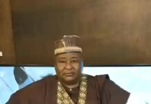 Why I consider being the first child a privilege – Bala Habule