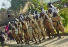 The Ngas (Angas) People of Plateau State: Preserving a heritage built on resilience and communal strength, by Tawheed Yakub