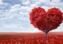 Delta Govt bans Valentine’s day celebrations in schools