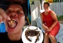 Tragedy strikes as food influencer dies after eating toxic ‘devil Crab’ for video