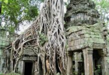 Angkor Wat: Where ancient monuments tell the story of Cambodia’s past, by Falmata Ma’aji Muhammad
