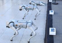 Robot dogs set to boost security operations at 2026 World Cup in Mexico