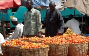Prices of essential food items fluctuate in Zaria markets