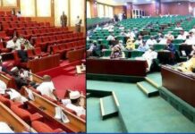 Electronic Transmitter of Election Results: For the sake of our eemocracy, the National Assembly must approve result transmission, by Love Arugu Obiani Electronic Transmitter of Election Results: For the sake of our eemocracy, the National Assembly must approve result transmission, by Love Arugu Obiani