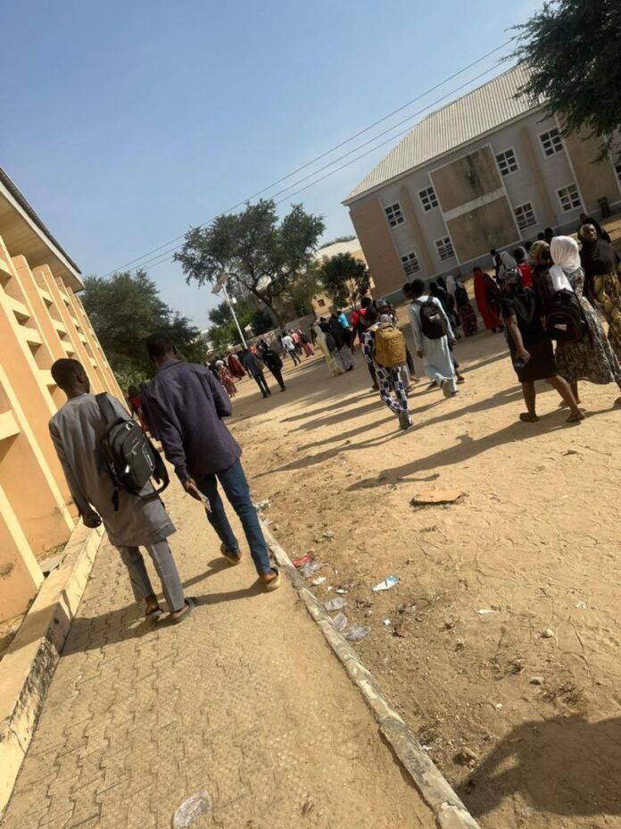 IMG_20260213_084656_725