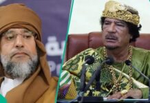 Saif al-Islam Gaddafi assassinated in Libya, sparking shock, family calls for probe