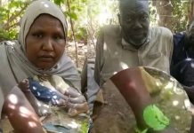 Kidnapped Ex-Military Spokesman, Maj.-Gen. Rabe Abubakar, dies in captivity